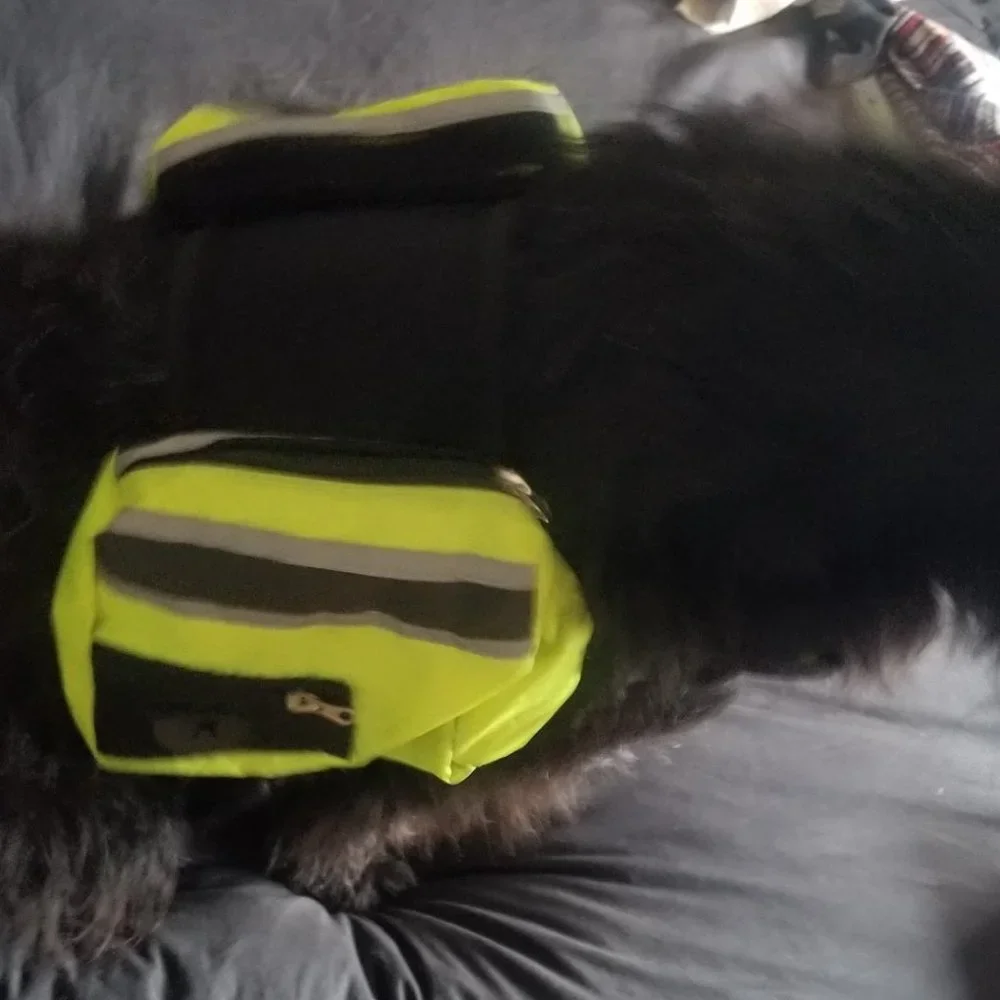 FML Brand Dog Back Pack Hiking Travel Food Water Doggie Bags Carrier - Size S/M